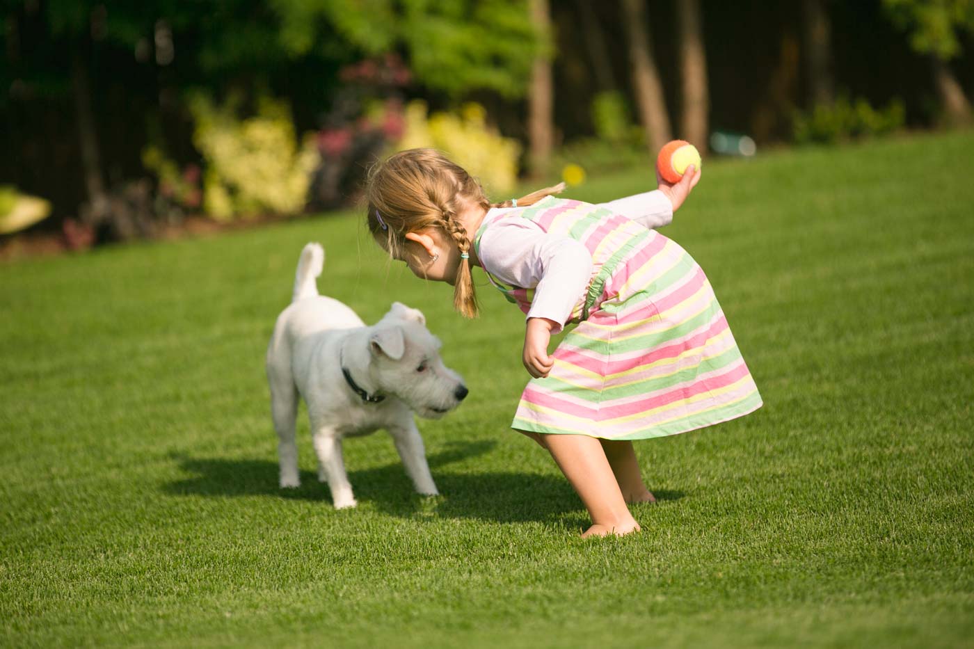 Bambina gioca in giardino con cane