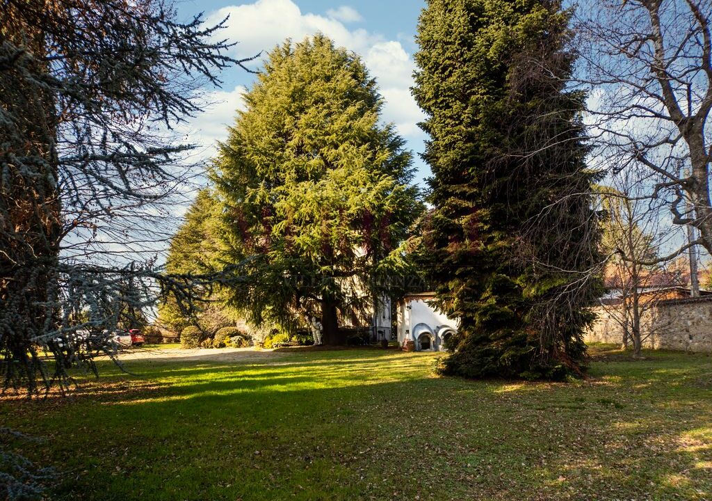 giardino e alberi - villa epoca Robbiate - Meriggi